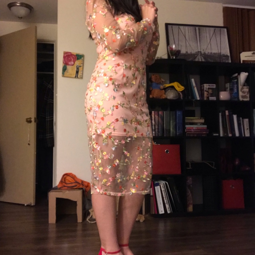 PrettyLittleThing Embroidered Sheer Dress- worn 2x